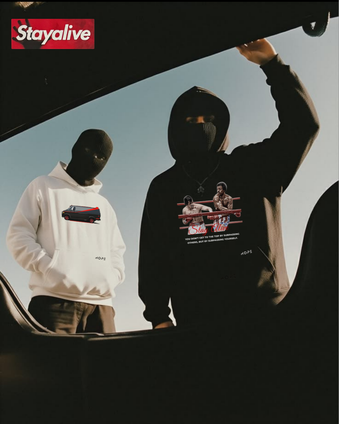 Buzos (Hoodies)