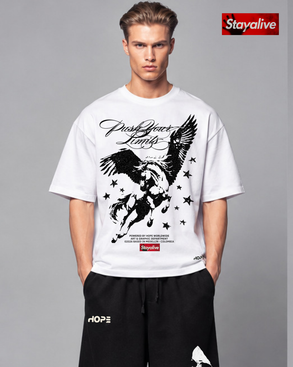 Camiseta Hope oversized Pegassus