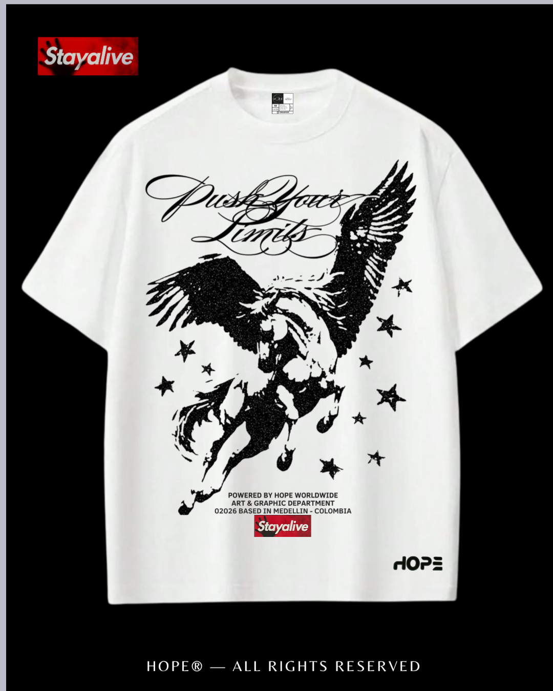 Camiseta Hope oversized Pegassus