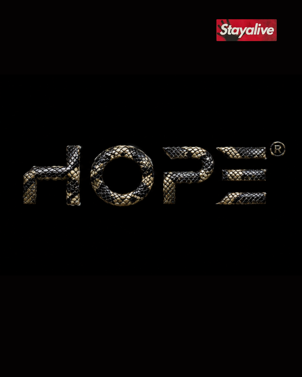 Camiseta Hope oversized Trust No One